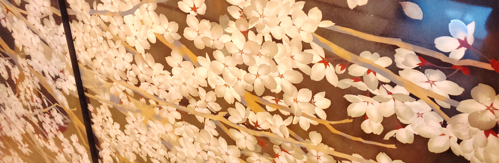 banner2